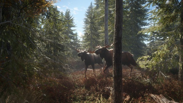 圖片[2]-獵人：荒野的召喚/ theHunter: Call of the Wild/ 单机+联机 v3139192 全DLC 赠满财富技能小屋位置存档 豪华中文版免费下载