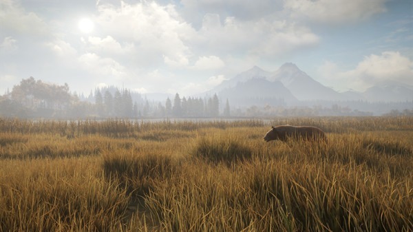 圖片[3]-獵人：荒野的召喚/ theHunter: Call of the Wild/ 单机+联机 v3139192 全DLC 赠满财富技能小屋位置存档 豪华中文版免费下载