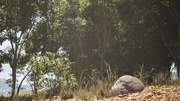 图片[2]-石头模拟器/ Stone Simulator – Just Be a Rock v1.2.0.2 豪华中文版免费下载