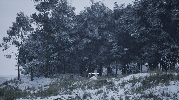 图片[4]-石头模拟器/ Stone Simulator – Just Be a Rock v1.2.0.2 豪华中文版免费下载