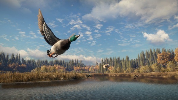 圖片[5]-獵人：荒野的召喚/ theHunter: Call of the Wild/ 单机+联机 v3139192 全DLC 赠满财富技能小屋位置存档 豪华中文版免费下载