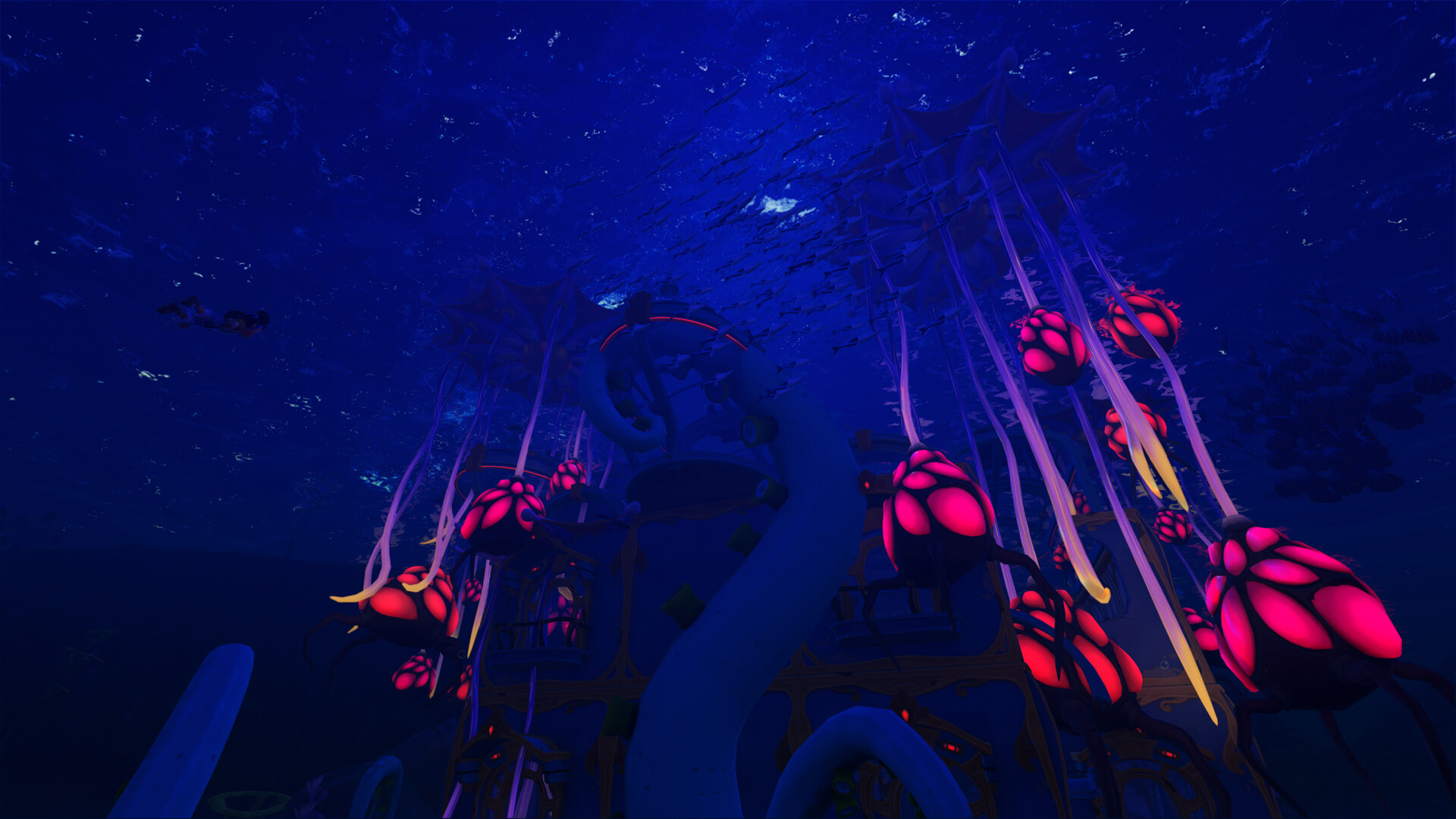 动物海湾|v20250928|官方中文|支持手柄|Critter Cove插图26跳跳游戏网