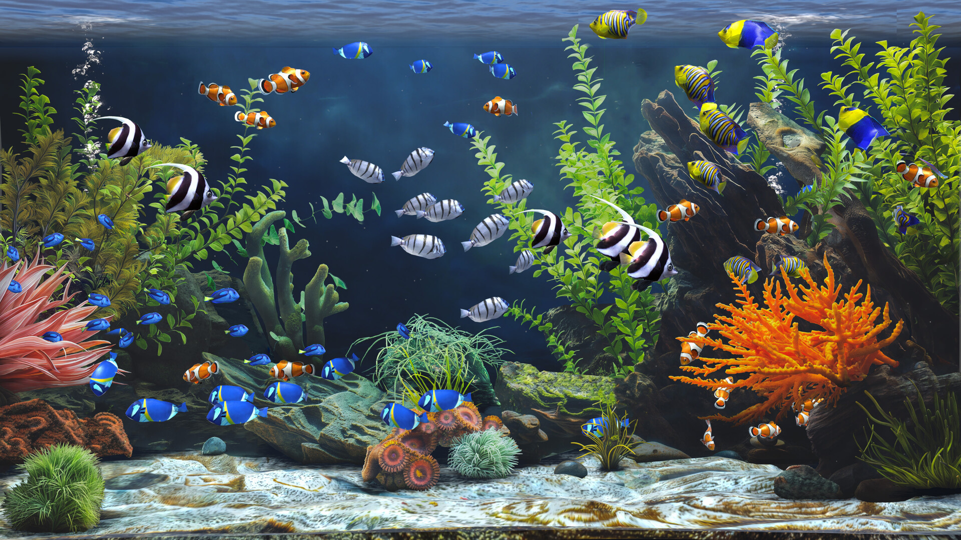 禅意水族馆|官方中文|Zen Aquarium插图7跳跳游戏网