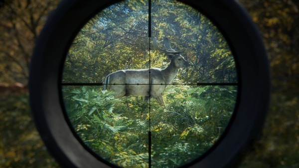 圖片[4]-獵人：荒野的召喚/ theHunter: Call of the Wild/ 单机+联机 v3139192 全DLC 赠满财富技能小屋位置存档 豪华中文版免费下载