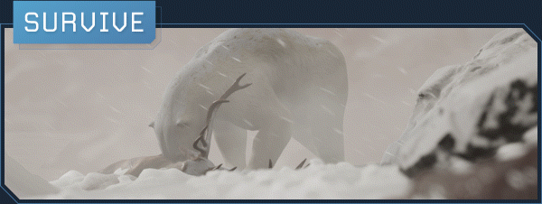 翼星求生|v2.2.62.139704|全DLC|官方中文|ICARUS插图2